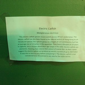 Temporary signage 28/05/2019