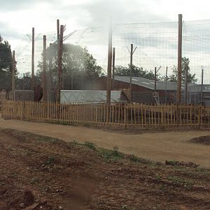 View of Tiger enclosure under construction 02/06/2019