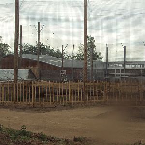 View of Tiger enclosure under construction 02/06/2019