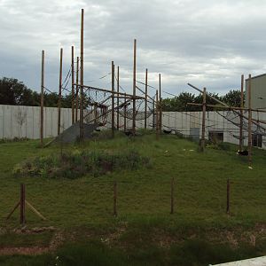 View of outdoor Chimps 02/06/2019