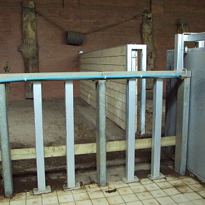 View of old Elephant house now housing Black Rhino 02/06/2019