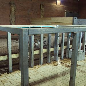 View of old Elephant house now housing Black Rhino 02/06/2019