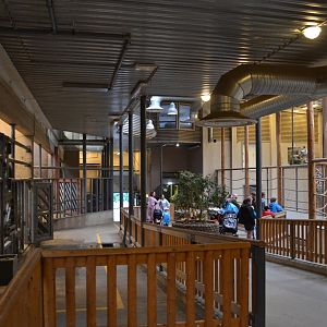 Interior of the old part of the elephant house