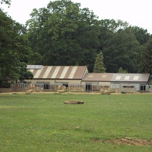 Rhino House 23/06/2019