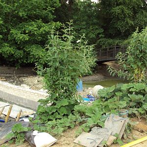 View of construction work 23/06/2019