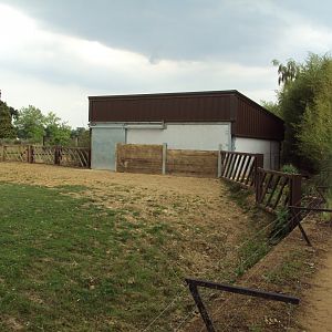 Night shelter for the male White Rhino 23/06/2019