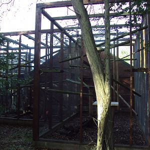 Back of Fossa house 27/10/2019