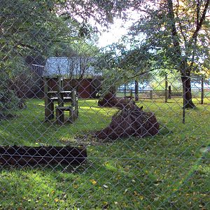 View across Serval enclosure 27/10/2019