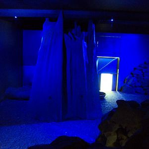 View of Aardvark house 27/10/2019