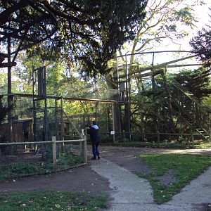 View of Amur Leopard enclosure 27/10/2019