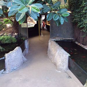 View just in the entrance of the Croc House 27/10/2019