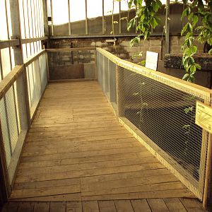 New viewing platform for Mugger 27/10/2019