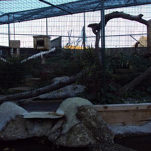 View of new cat enclosure in cat cloisters 27/10/2019