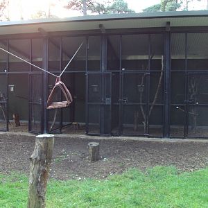 View of Lemur House 30/10/2019