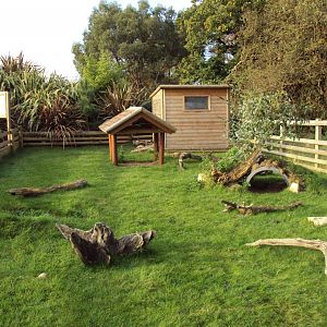 View of Sulcatta enclosure 30/10/2019