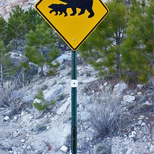 Sign warning of black bears