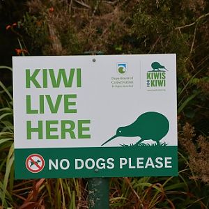 NZ sign