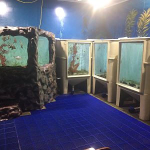 Fish tanks