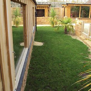 View outside the Sulcatta House 31/10/2019