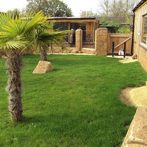 View of Galapagos Tortoise outside 31/10/2019