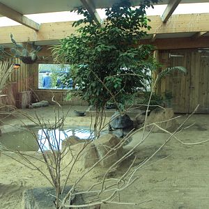 View inside Galapagos Tortoise House 31/10/2019
