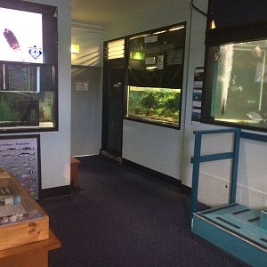 Fish tanks