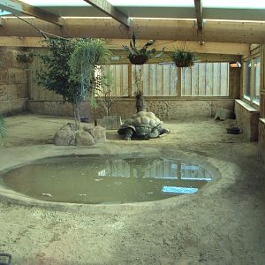 View inside Galapagos Tortoise House 31/10/2019