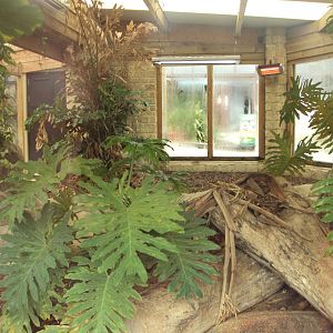 View inside Komodo House 31/10/2019