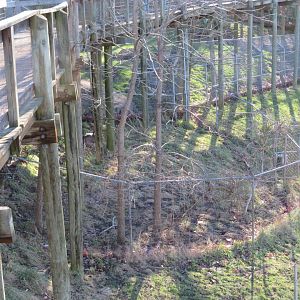 Whiite-tailed Deer Exhibit (part)