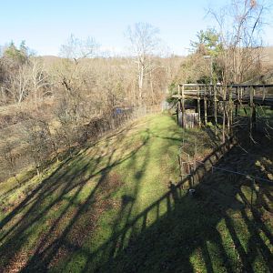 Whiite-tailed Deer Exhibit (half)