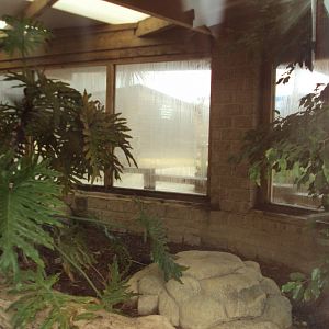 View inside Komodo House 31/10/2019