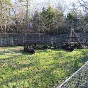 American Black Bear Exhibit (part)