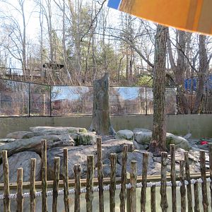River Otter Exhibit (1 of 2)