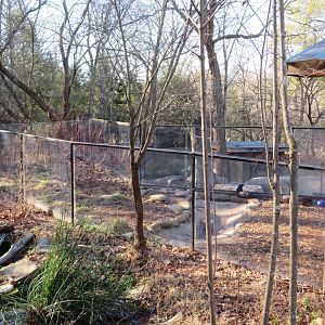 River Otter Exhibit (2 of 2)