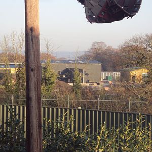 View of construction of off show zoo 30/11/2019