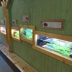Appalachian Station: Various Herp Exhibits