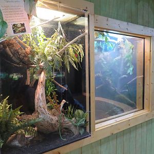 Appalachian Station: Various Herp Exhibits