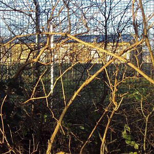 View of Construction of off show zoo 14/12/2019