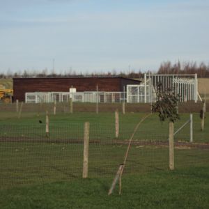 Syrian Brown Bear House under construction 22/12/2019