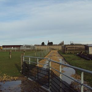 Syrian Brown Bear House under construction 22/12/2019