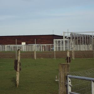 Syrian Brown Bear House under construction 22/12/2019