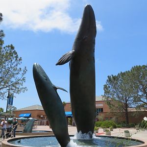 Whale Statue/Fountain