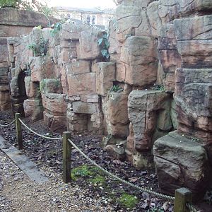 Wall to the old penguin enclosure 03/01/2020