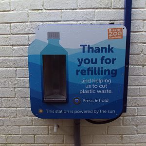 Every zoo should have one 03/01/2020