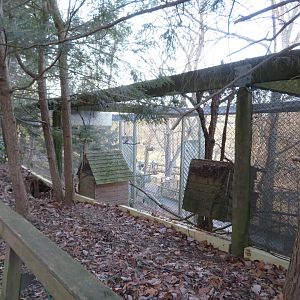 Back of Raptor Aviaires