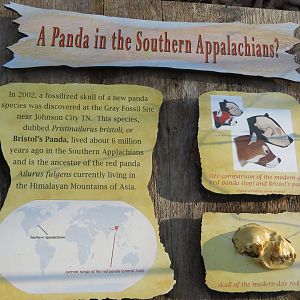 Signage about Bristol's Panda