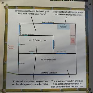 Red Panda Building Diagram