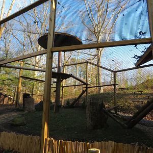 Outdoor Red Panda Exhibit