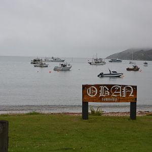Stewart island
