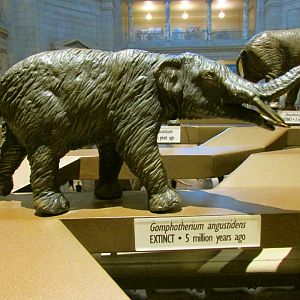Gomphotherium Bronze Sculpture
